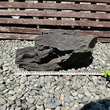 Amazon.co.jp: 浅間溶岩石10.5キロ庭石鑑賞石石盆石水石灯籠庭坪